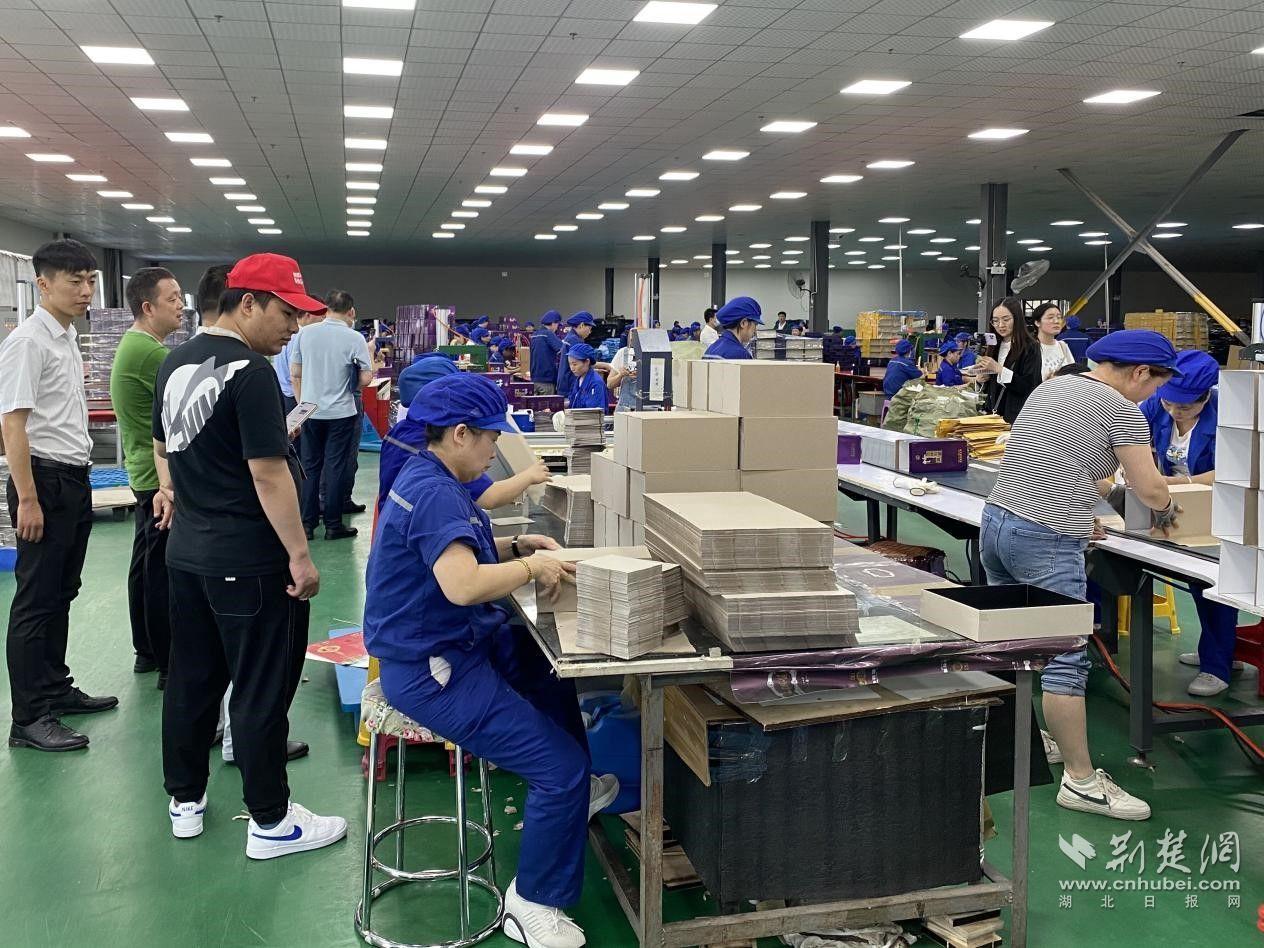 E路心向党，百年赞辉煌 大冶工业之旅见证科技强国梦